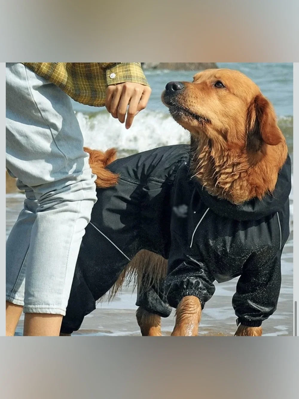 NWOT Asmpet Waterproof Black Dog Coat for Pets 2XL S63